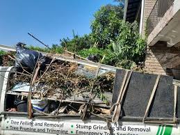 Best Yard Waste Removal  in Baldwinsville, NY